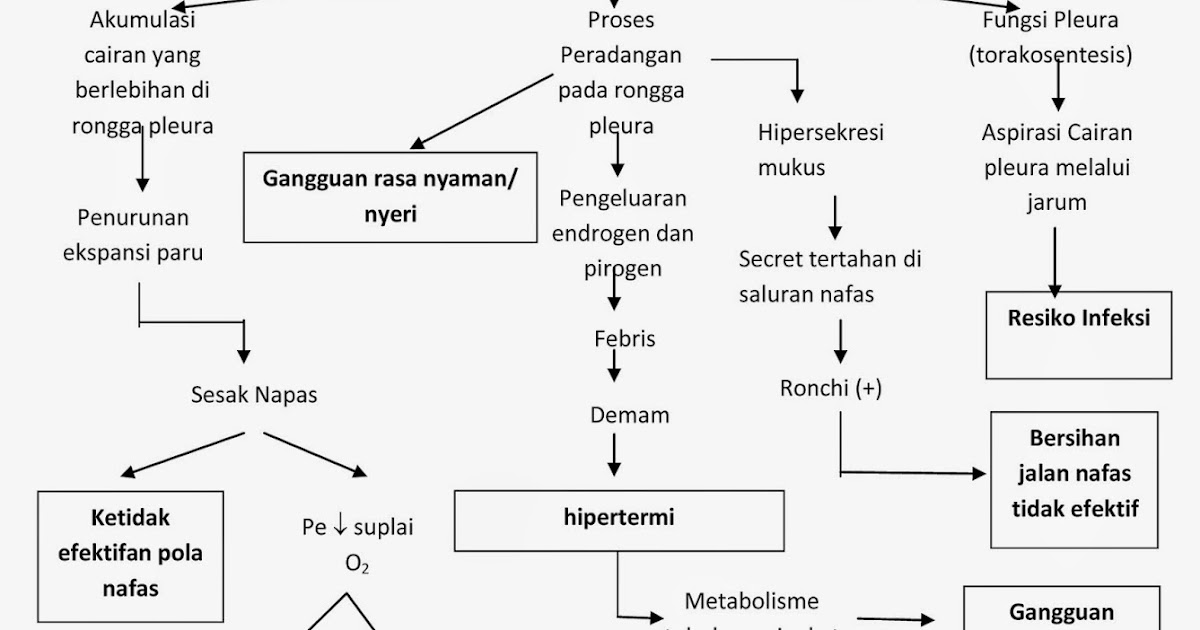 patofisiologi efusi pleura